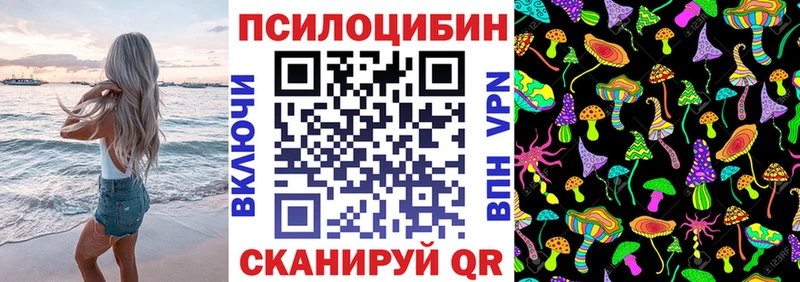 закладка  Добрянка  Галлюциногенные грибы GOLDEN TEACHER 